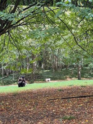 【フォト】防弾少年団V、ロングコート姿がクラシカル…ヒョウ柄シャツでセクシーな雰囲気