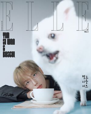 【フォト】TWICEジョンヨン＆ツウィ、SEVENTEENスングァンら12組が「ELLE」表紙でペットと共感