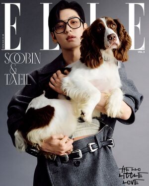 【フォト】TWICEジョンヨン＆ツウィ、SEVENTEENスングァンら12組が「ELLE」表紙でペットと共感