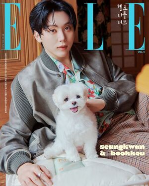 【フォト】TWICEジョンヨン＆ツウィ、SEVENTEENスングァンら12組が「ELLE」表紙でペットと共感