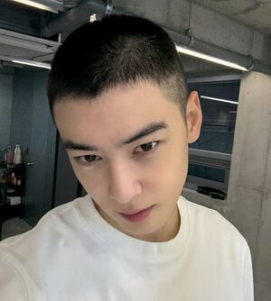 徴兵:一等兵チャウヌ、APEC首脳会議の会場に現れる 「映画を撮っているのかと」