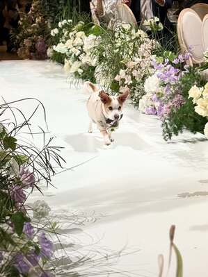 【フォト】「美男美女夫婦」ユン・ソヌ＆キム・ガウン　幸せ結婚式の写真公開