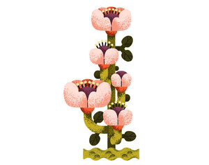 「死肉の腐敗臭が漂う」…「死体花」開花に数百人が殺到