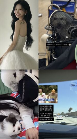「故チェ・ジンシルさんの娘」チェ・ジュニ、愛犬2匹と米国で楽しむ新婚旅行の様子公開